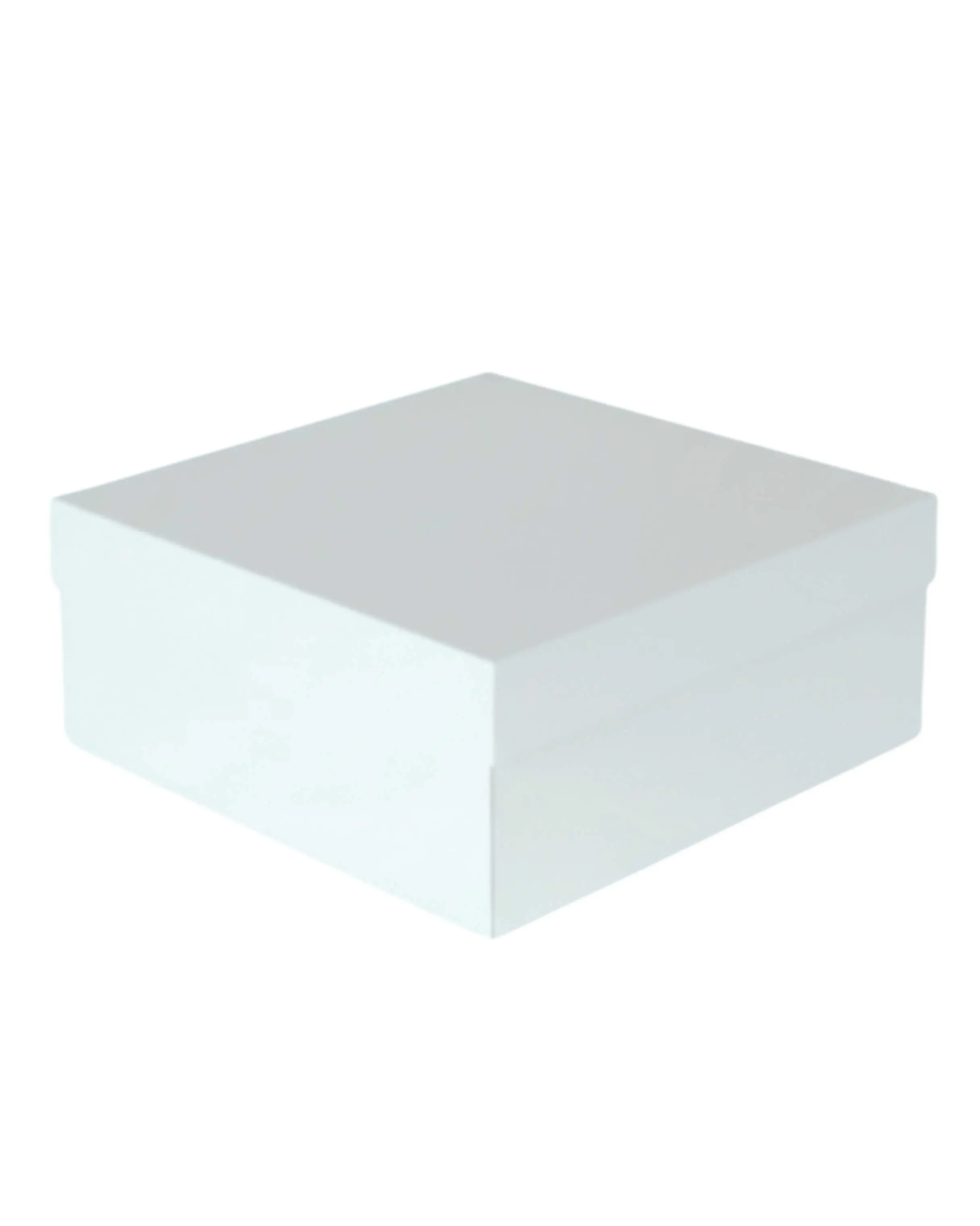 PRODUCTOS PAGINA WEB (9).jpg