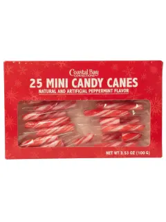 MINI BASTONES DE CARAMELOS 100GR 1DTV 25UND