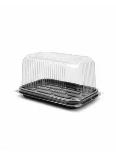 DOMO 20.5X12CM RECTANGULAR