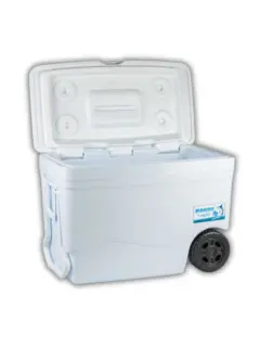 Diseño sin título (19).jpg