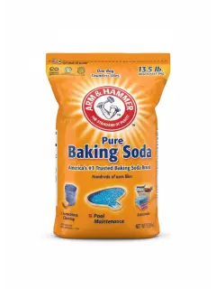 BICARBONATO DE SODIO 100GR